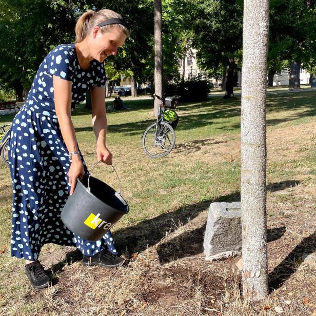 Eine Frau in einem blau-weiß gepunkteten Kleid gießt mit einem Eimer Wasser an einen Baum in einem sonnigen Park.