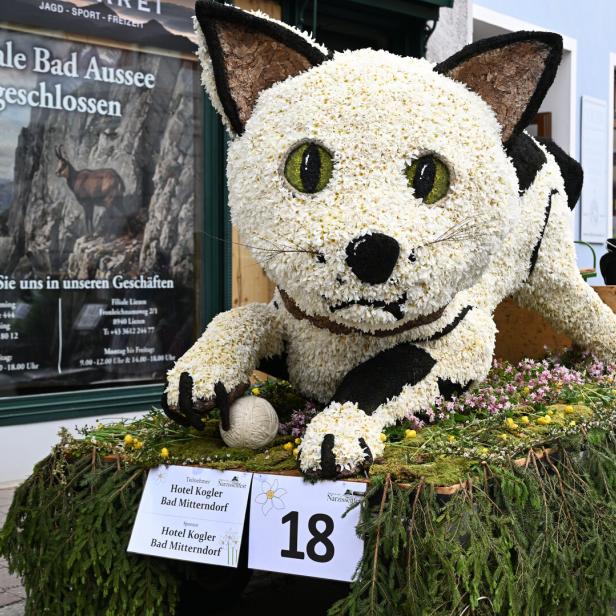 Mit Blumen geschmückte Katzenfigur auf einem Festwagen vor einem Geschäft.