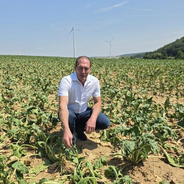 Mann kniet in einem vertrockneten Feld; im Hintergrund stehen Windräder und ein bewaldeter Hügel.