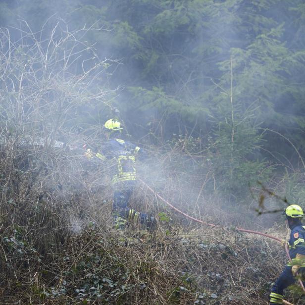 Zwei Feuerwehrleute stehen im Wald umgeben von Rauch.