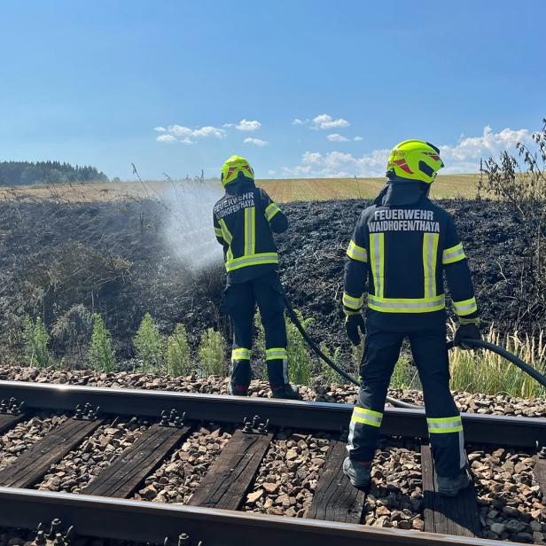 Zwei Feuerwehrleute löschen von den Gleisen aus eine schwarze Wiese.