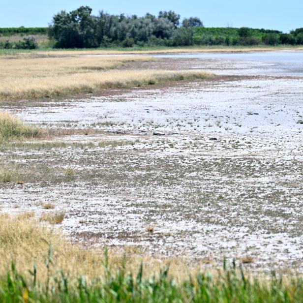 Trockenes Feuchtgebiet mit Salzkruste, Schilfgras und einer Wasserfläche im Hintergrund.
