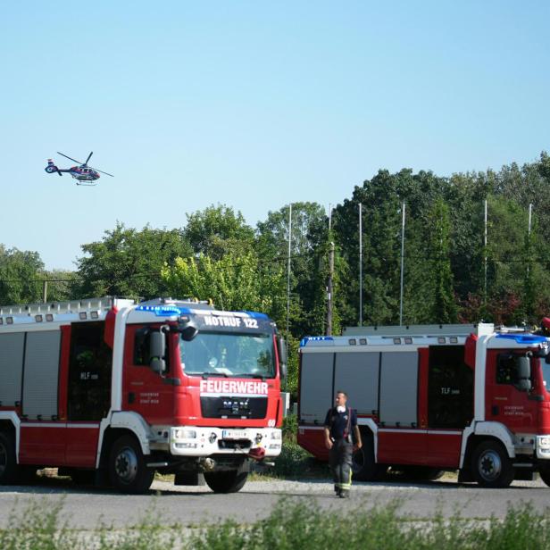 WIEN: FEUERWEHREINSATZ WEGEN WALDBRAND IN LOBAU