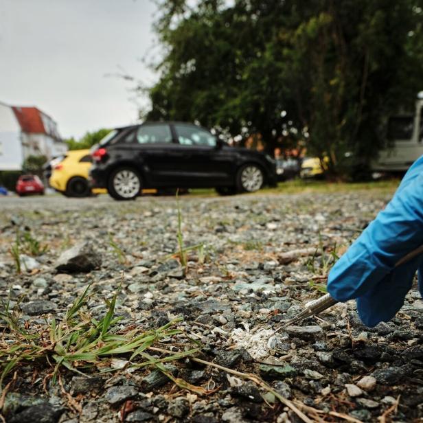 Handschuhhand spritzt weiße Substanz auf den Boden zwischen Gras und geparkten Autos.