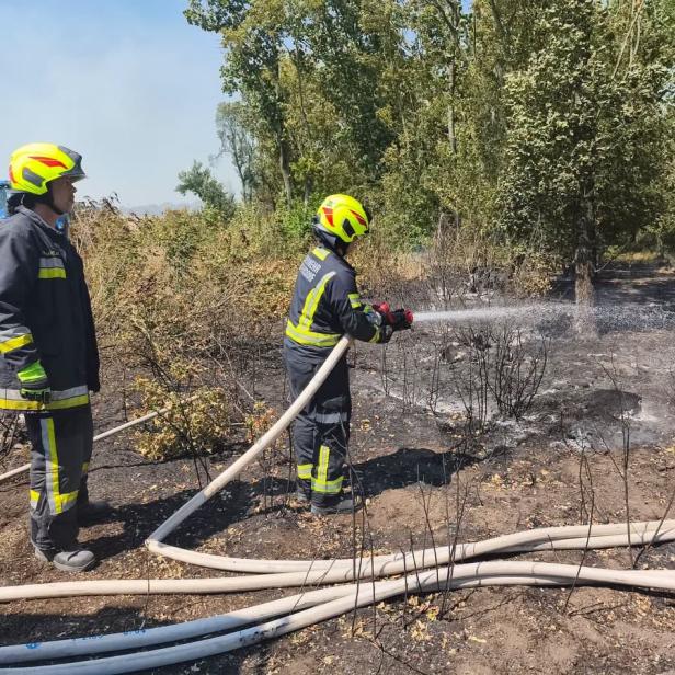 Vegetationsbrand Gänserndorf