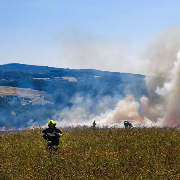 Feuerwehrleute bekämpfen einen Flächenbrand auf einem Feld, dichtes Rauch steigt auf.