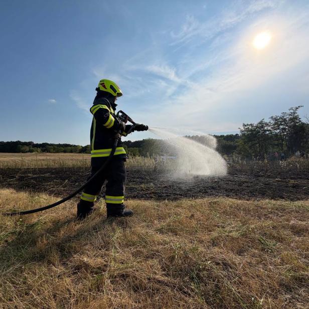  Feldbrand bei Enzersdorf im Thale
