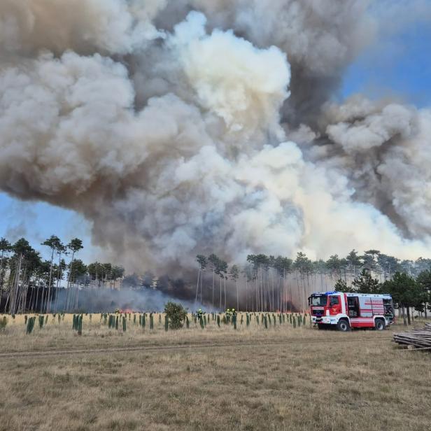 Brand Föhrenwald