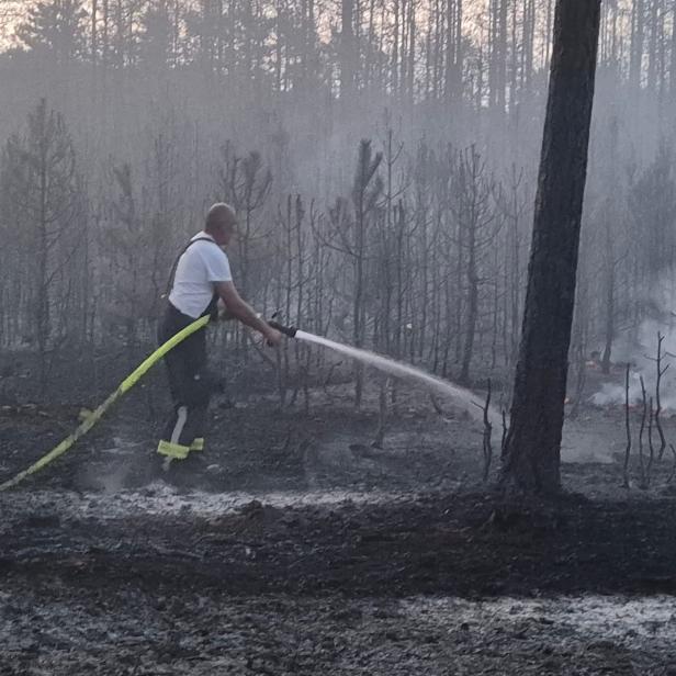 Brand Föhrenwald