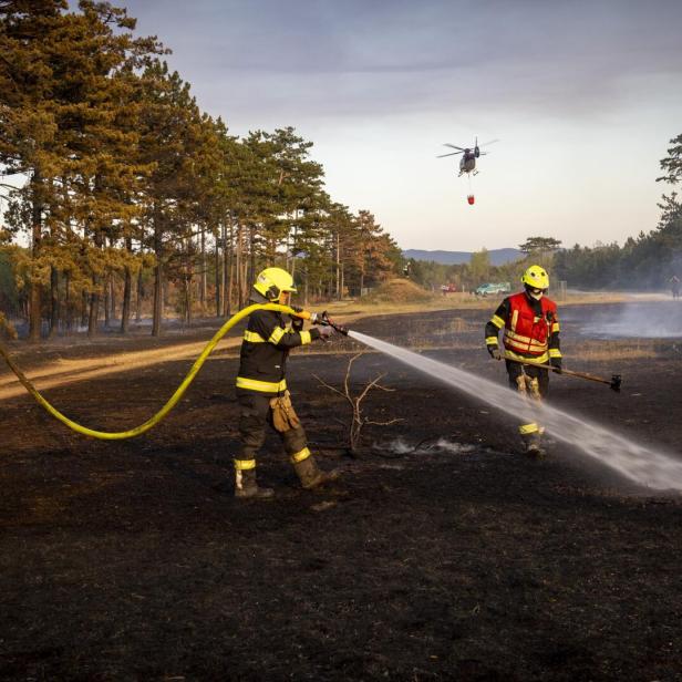 Waldbrand Föhrenwald St. Egyden 2026