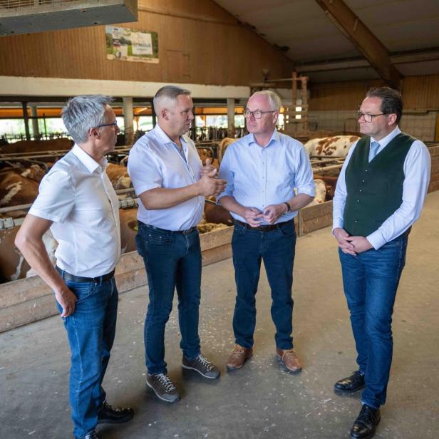 Besuch beim Milchbauern