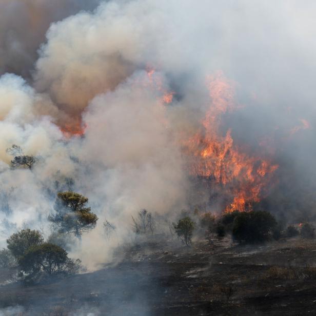 Waldbrand