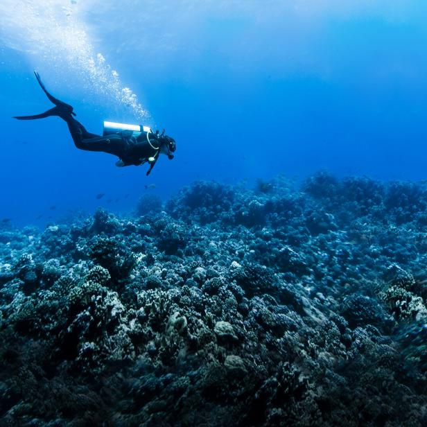 Woman Scuba Diving Over Huge Reef in Rangiroa, French Polynesia