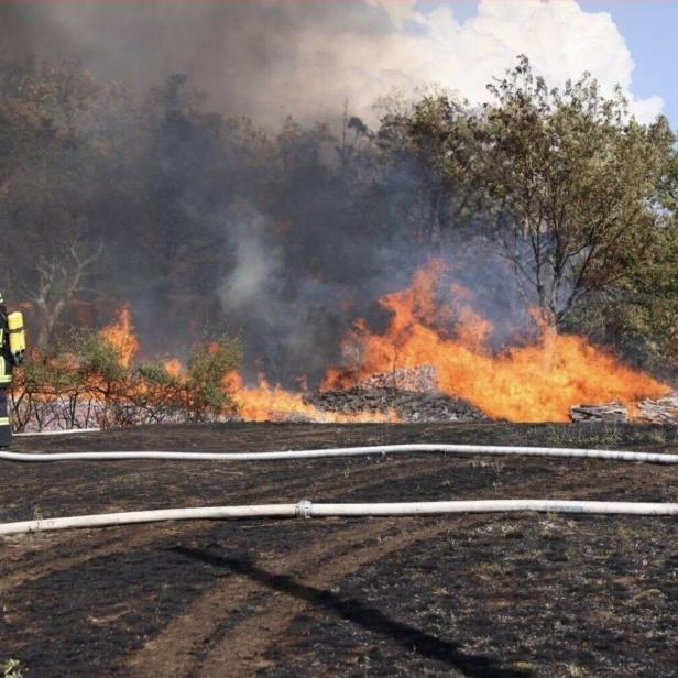 Waldbrand im Kamptal
