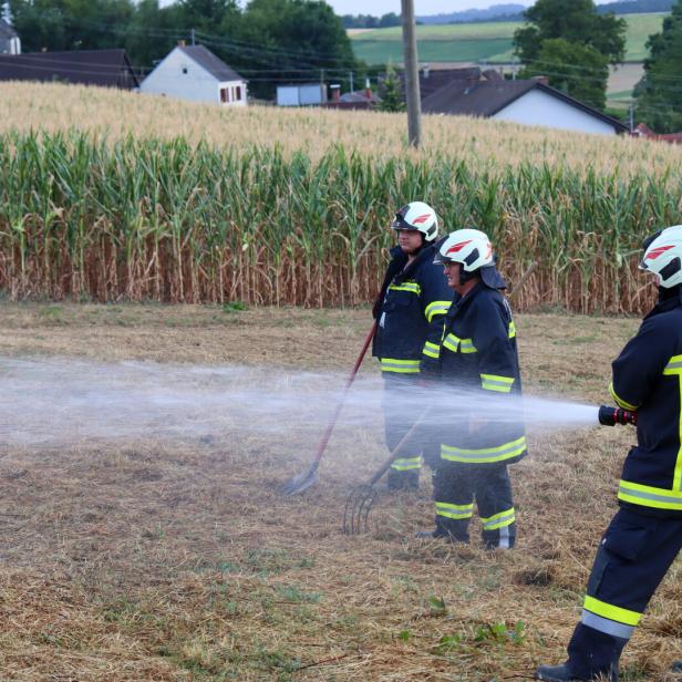 Feuerwehrleute löschen einen kleinen Brand am Feldrand vor einem Maisfeld.