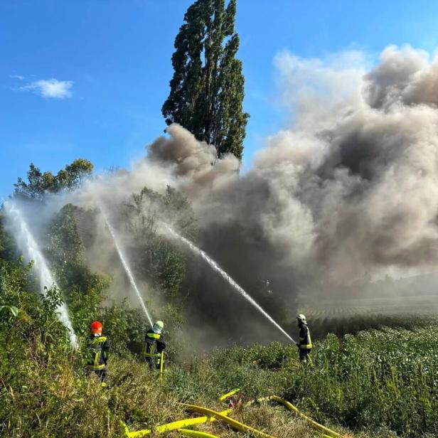 Feuerwehr bekämpft einen großen Brand auf einem Feld mit Wasserstrahlen und dichtem Rauch.