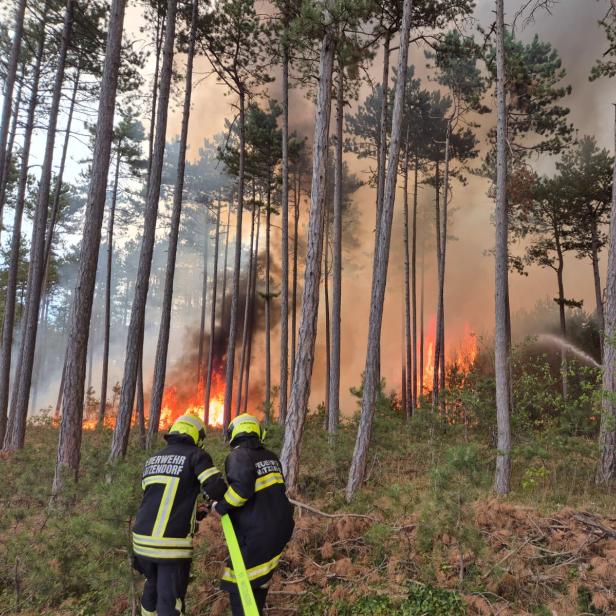 Feuerwehr bekämpft einen Waldbrand zwischen hohen Kiefern, während dichte Rauchwolken und Flammen den Wald erhellen.