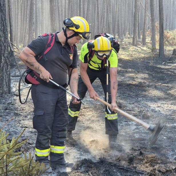 Zwei Feuerwehrleute löschen Glutnester im verkohlten Wald mit Werkzeugen.