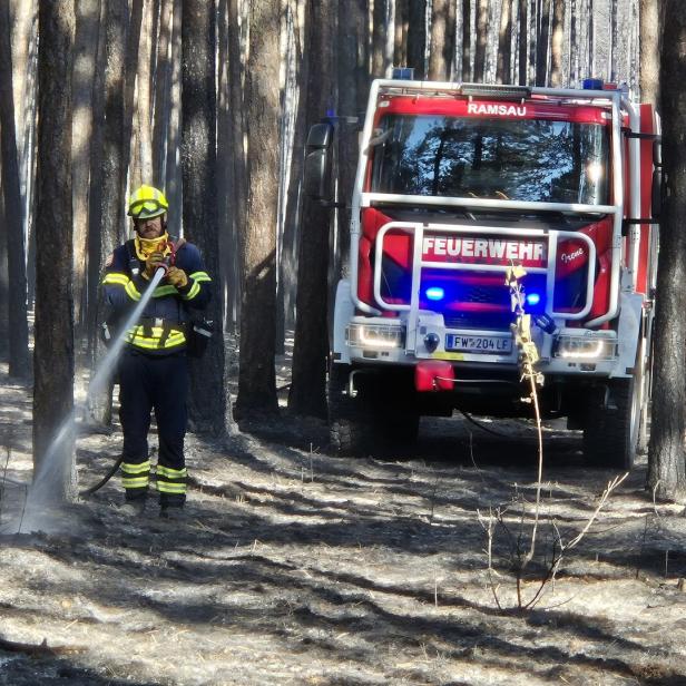 ++ HANDOUT ++ BRAND IM FÖHRENWALD IN NIEDERÖSTERREICH UNTER KONTROLLE