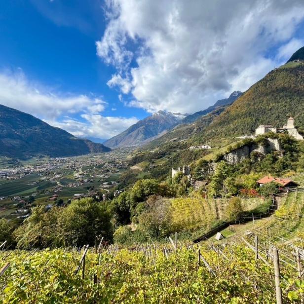 Blick über das Etschtal in Südtirol mit Weinbergen im Vordergrund und der Burgruine Schloss Lebenberg auf einem bewaldeten Hügel.