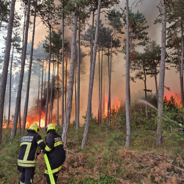 ++ HANDOUT ++ NIEDERÖSTERREICH: ERNEUTER BRAND IM FÖHRENWALD