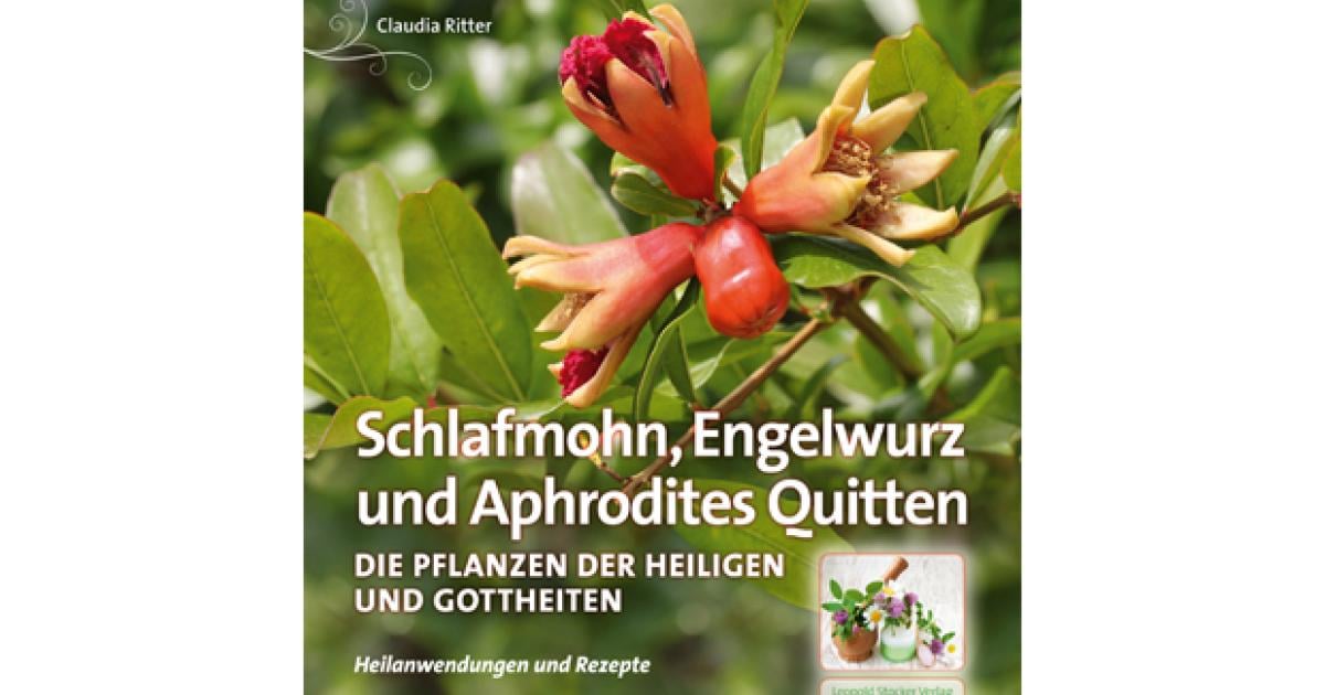 HeilPflanzen und ihre Kräfte