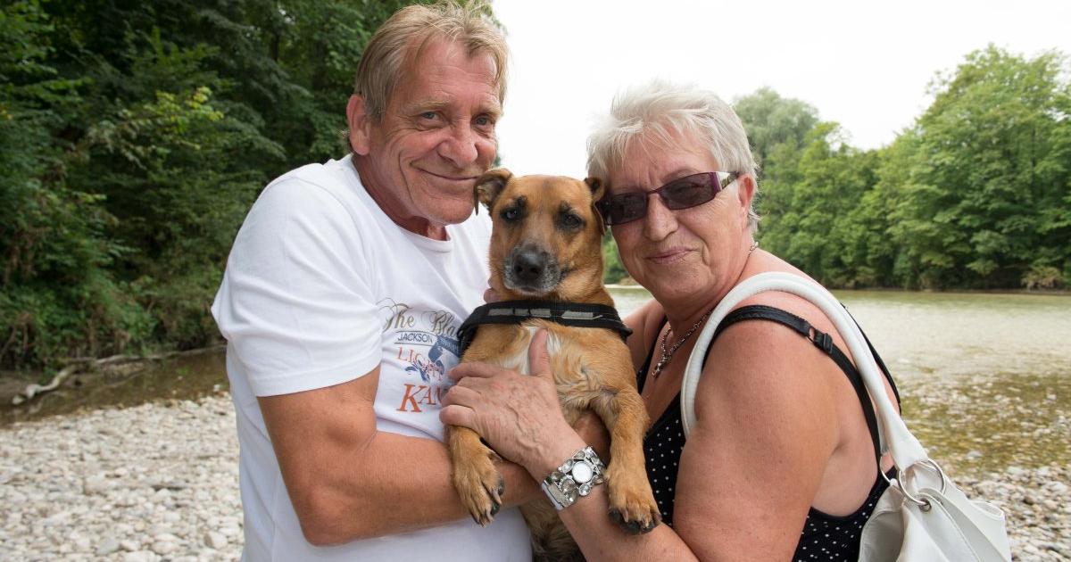 Partnersuche mit hund osterreich