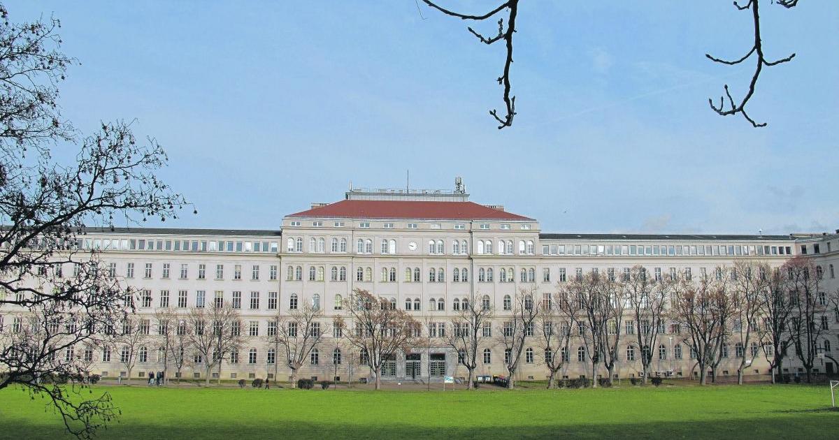 Partnersuche mödling