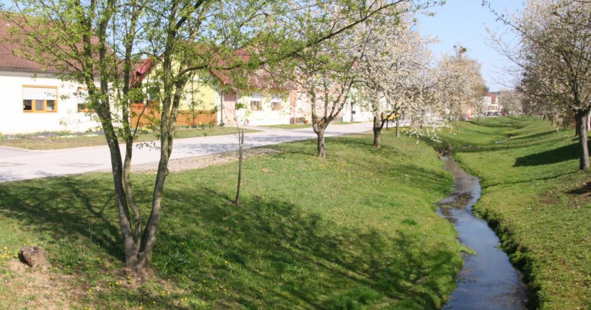 Partnersuche jennersdorf