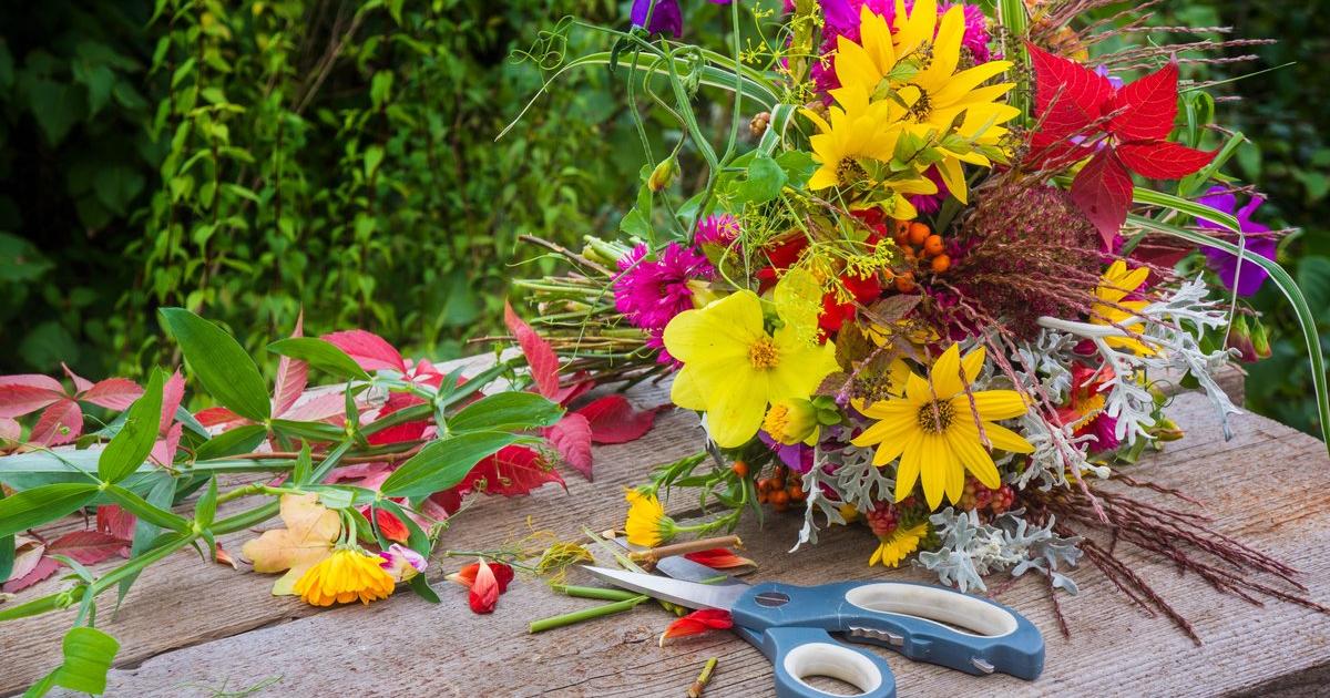 Was Sie jetzt über Schnittblumen im Garten wissen sollten