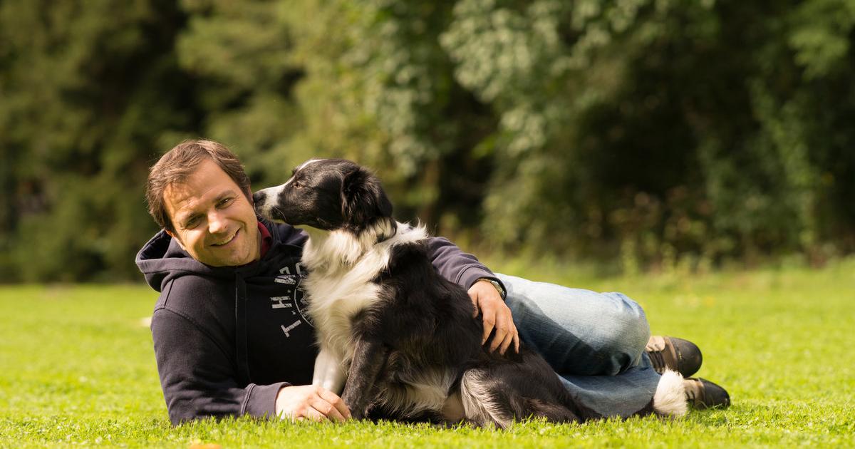 Was tun, wenn der Hund wegläuft? kurier.at