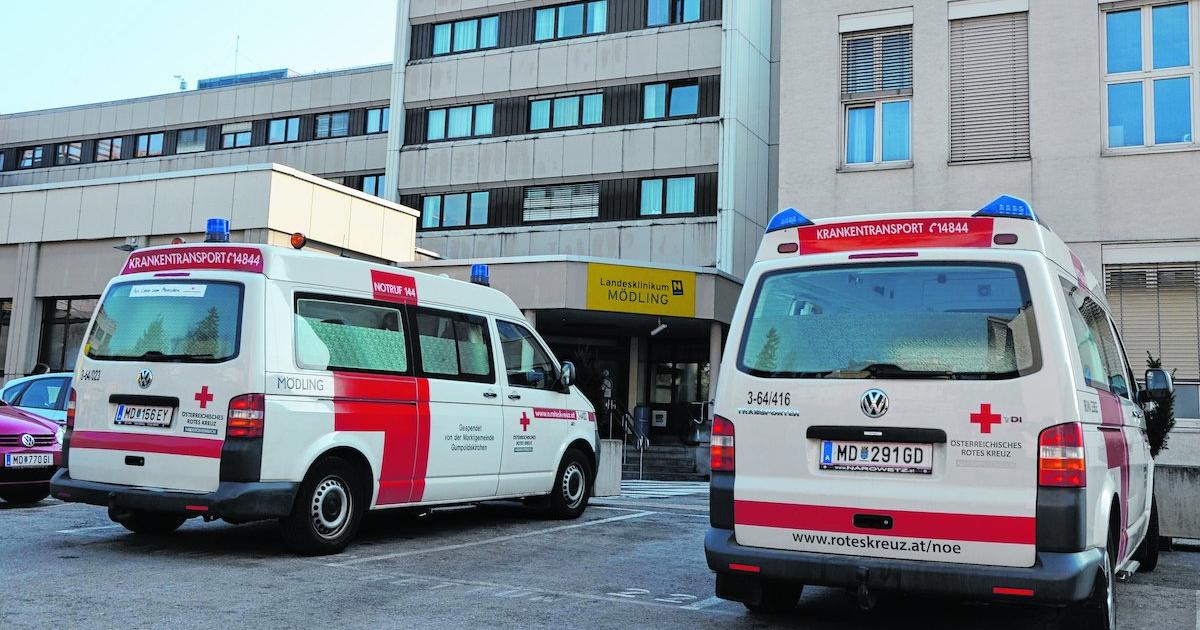 Partnersuche mödling