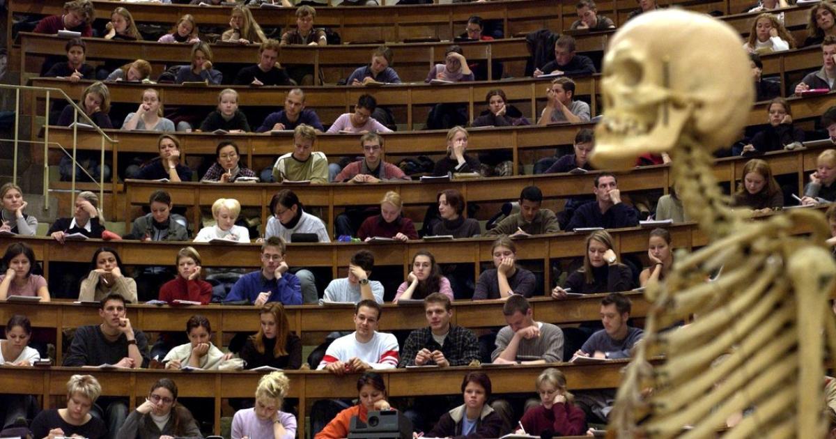 Partnersuche studenten österreich