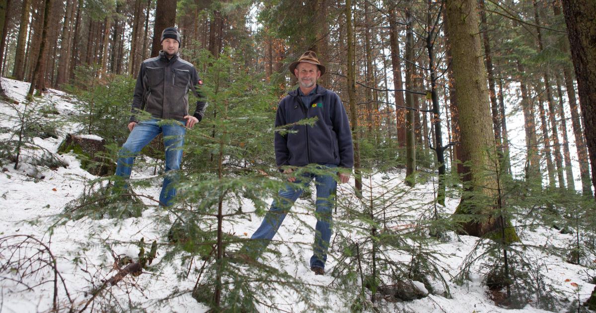 Partnersuche bauer österreich