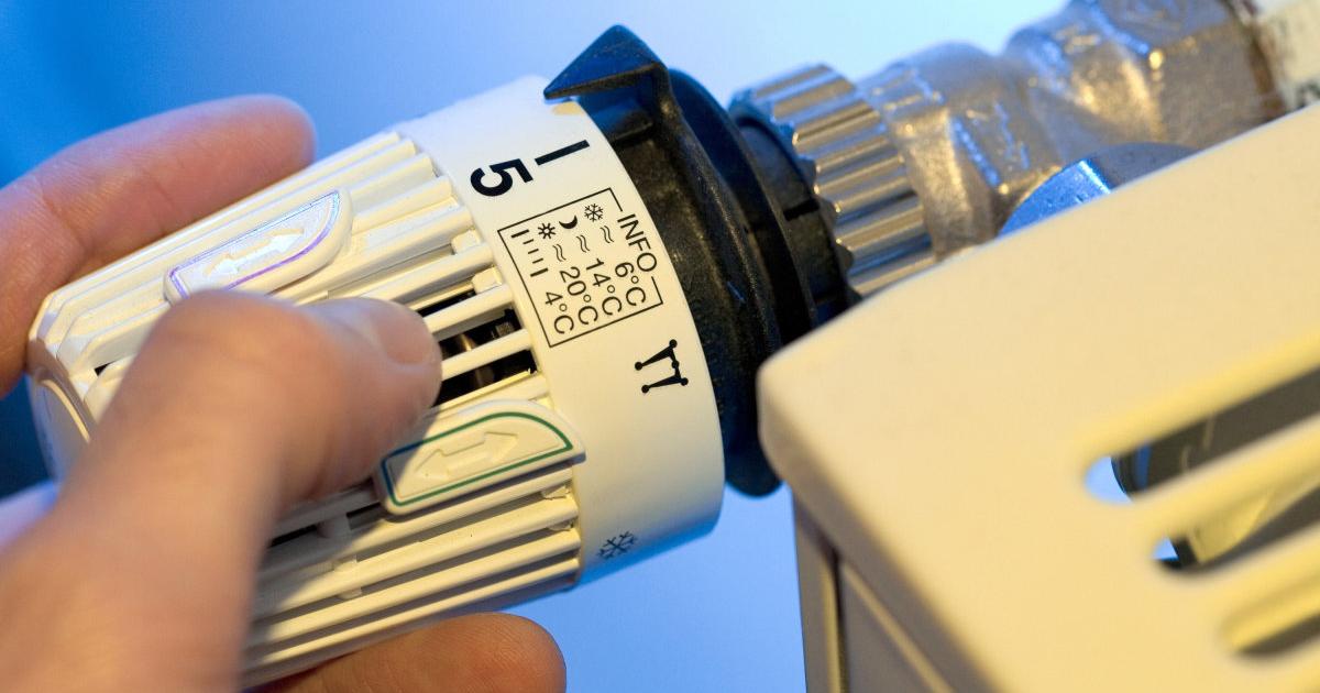 Baden Württemberg: Bauern In Bw Zittern – Kann Die Getreideernte Noch Gerettet Werden? - t0brfkm