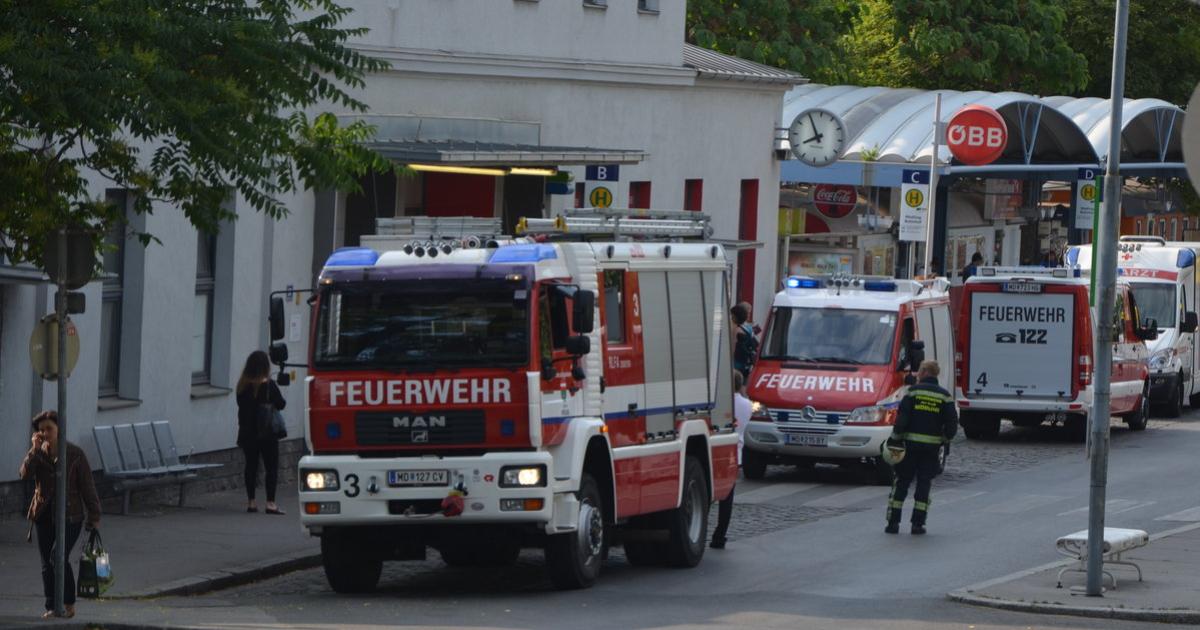 Partnersuche mödling