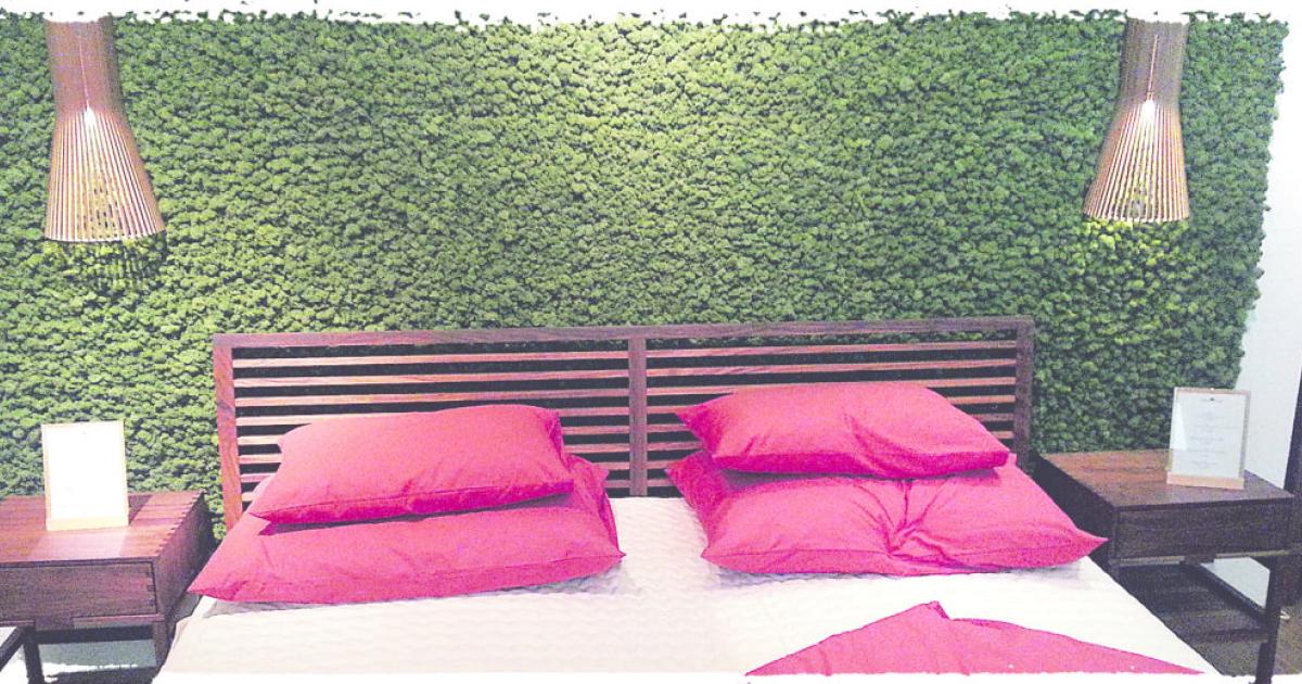 Moos im Schlafzimmer | kurier.at