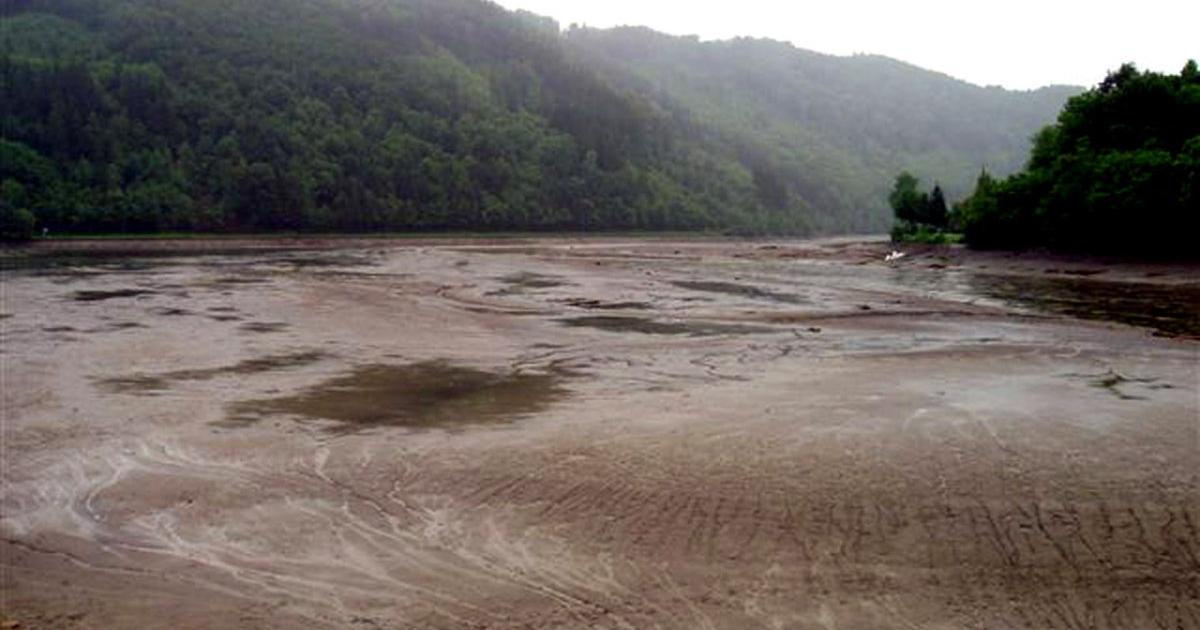 Absiedeln statt ausbaggern | kurier.at