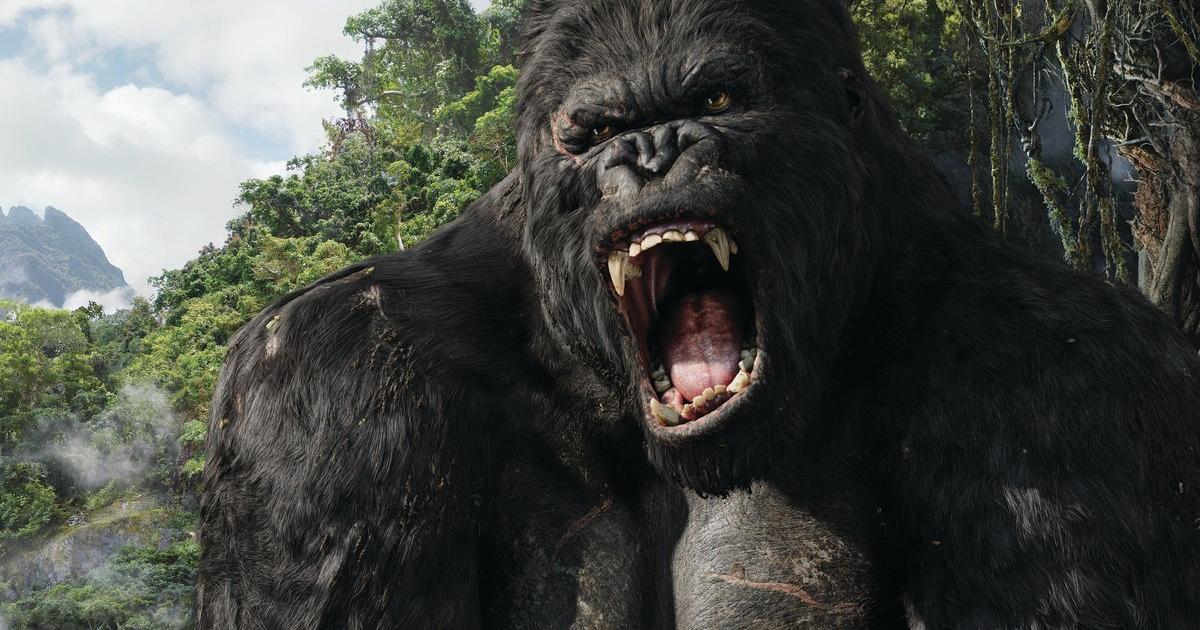 3 meters long: how the largest ape ever disappeared
