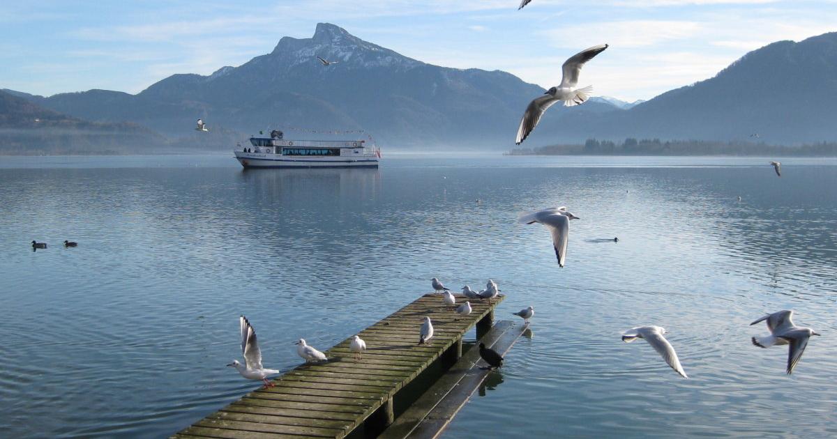 Partnersuche mondsee
