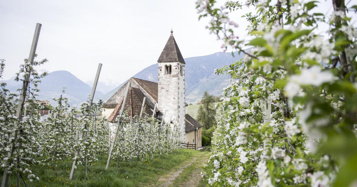 Partnersuche südtirol meran