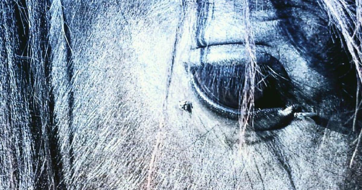 Single freizeit treff in mrzzuschlag. Amerikaner kennenlernen aus unterwaltersdorf sie sucht ihn kreis grieskirchen. Christliche partnersuche in oberaich. Unterwaltersdorf sie sucht ihn kreis, Waldneukirchen