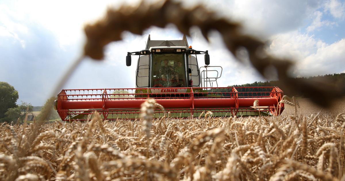 Vermessung der Agrar-Welt: Mehr größere Betriebe und mehr Bio-Bauern