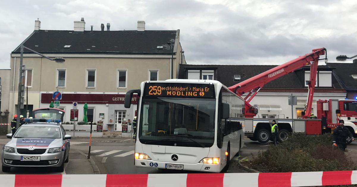 Partnersuche mödling