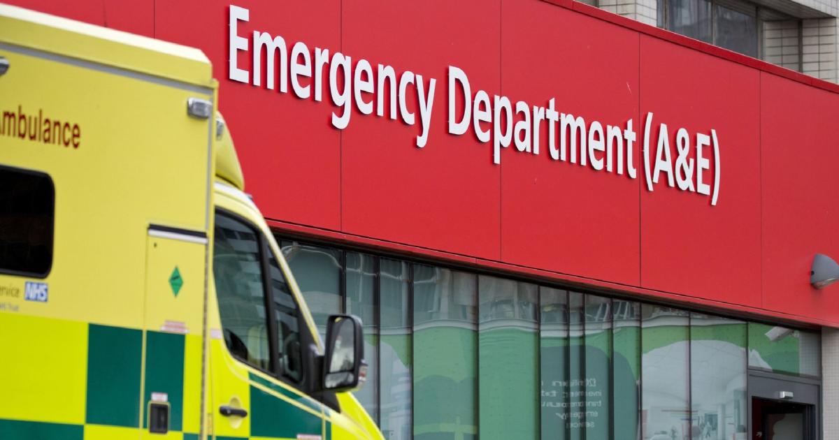 Experten Schlagen Alarm: Britische Behörden Setzen Migranten Fest – Droht Eine Krise? - 0h8mj46