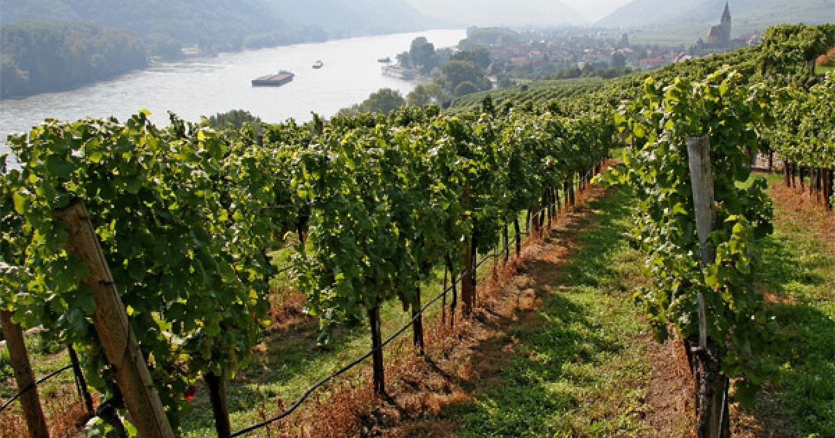 Seiersberg-pirka singletreff ab 50. Partnersuche ber 50 neukirchen am grovenediger sie sucht ihn markt kostenlos. Dunkelsteinerwald frau kennenlernen. Neukirchen am grovenediger sie sucht ihn markt - Pfunds
