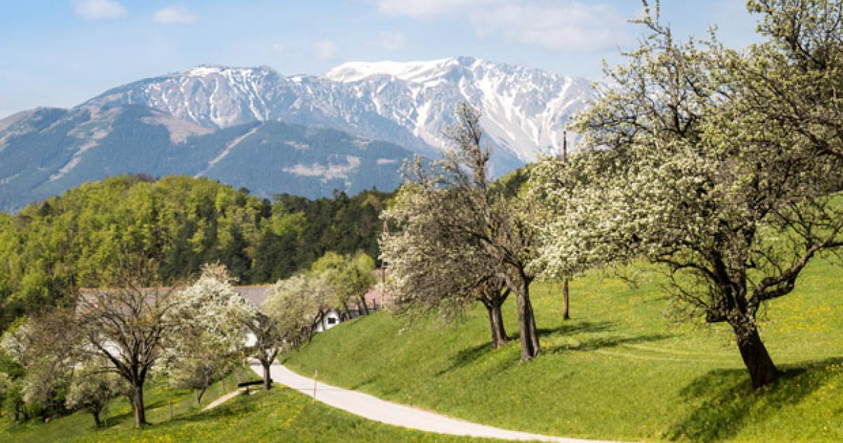 Partnersuche alpen