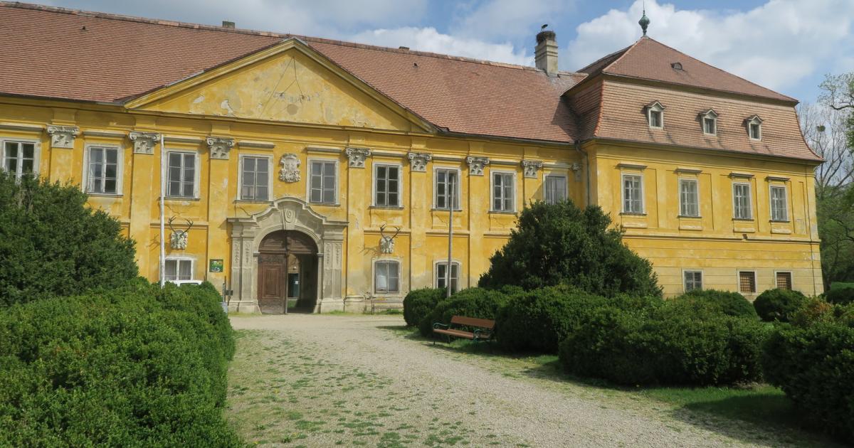 Partnersuche bezirk gänserndorf