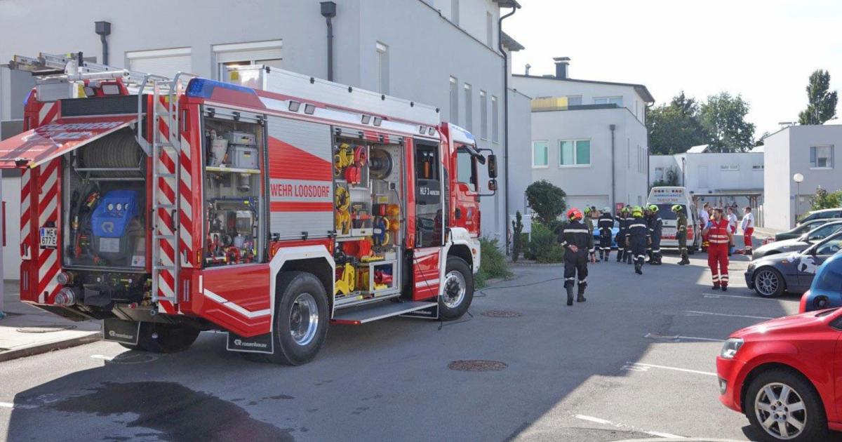 Partnersuche bezirk melk
