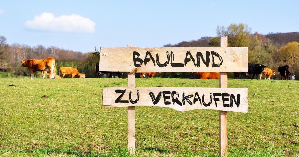 Hennersdorf-will-wachsen-Gemeinde-schafft-neues-Bauland